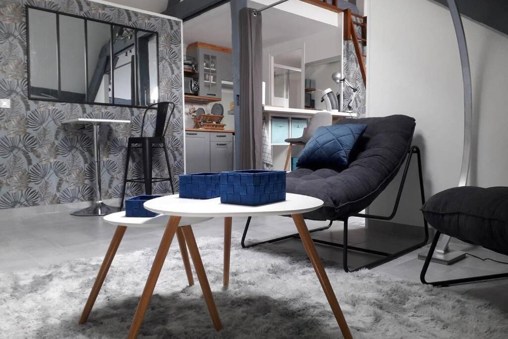 Loft Haut De Gamme Centre Montargis, Place De Parking, Local A Velos, Linge De Lits Et Serviettes, Coin Riviere Amenage, Hamac, Epicerie, Velos En Option, Tout Confort Jusqu'A 4 Voyageurs Exterior foto