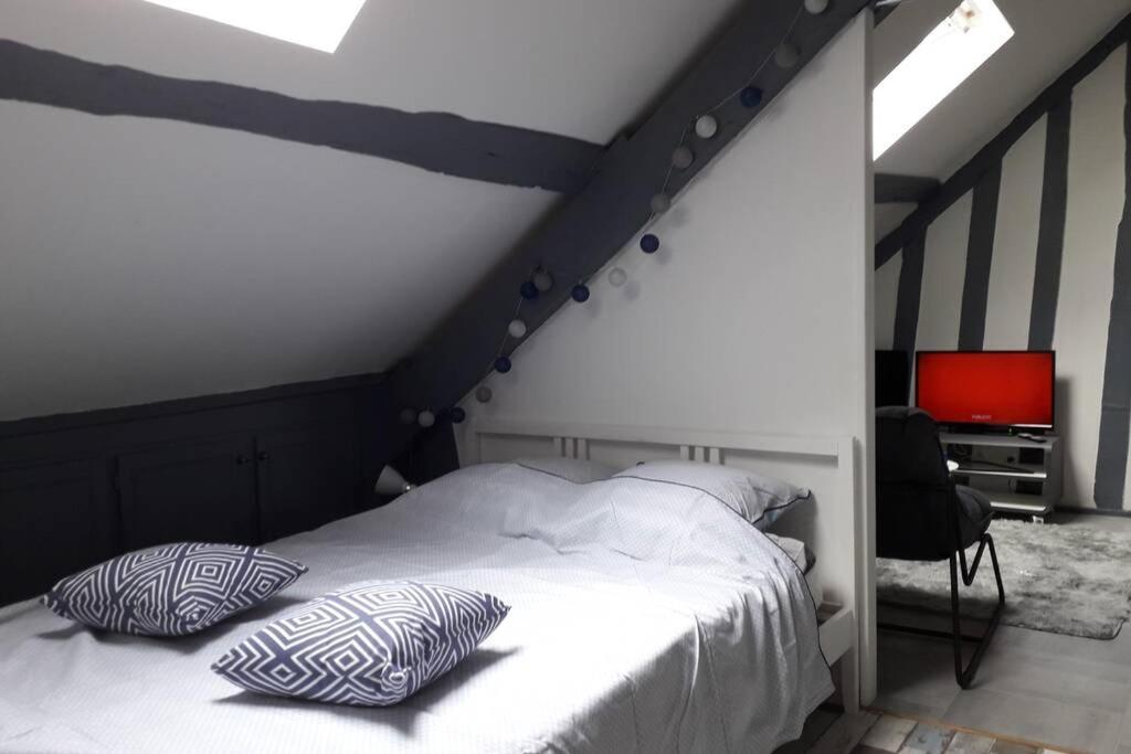 Loft Haut De Gamme Centre Montargis, Place De Parking, Local A Velos, Linge De Lits Et Serviettes, Coin Riviere Amenage, Hamac, Epicerie, Velos En Option, Tout Confort Jusqu'A 4 Voyageurs Exterior foto