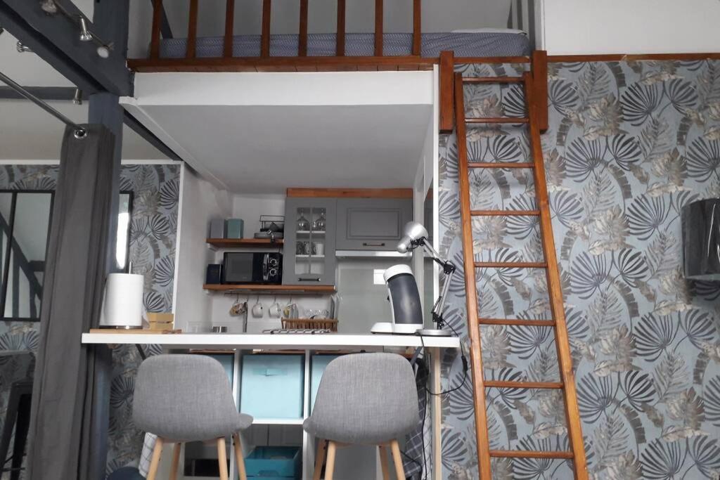 Loft Haut De Gamme Centre Montargis, Place De Parking, Local A Velos, Linge De Lits Et Serviettes, Coin Riviere Amenage, Hamac, Epicerie, Velos En Option, Tout Confort Jusqu'A 4 Voyageurs Exterior foto
