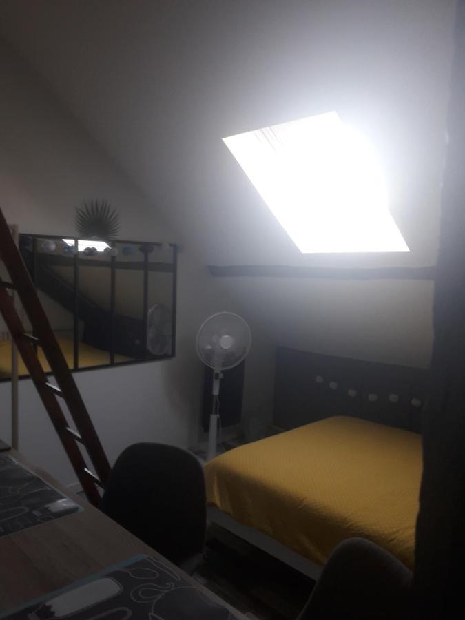 Loft Haut De Gamme Centre Montargis, Place De Parking, Local A Velos, Linge De Lits Et Serviettes, Coin Riviere Amenage, Hamac, Epicerie, Velos En Option, Tout Confort Jusqu'A 4 Voyageurs Exterior foto